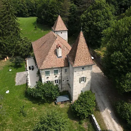 Domaine Du Tres-Haut - Chateau De Montanges Exterior photo