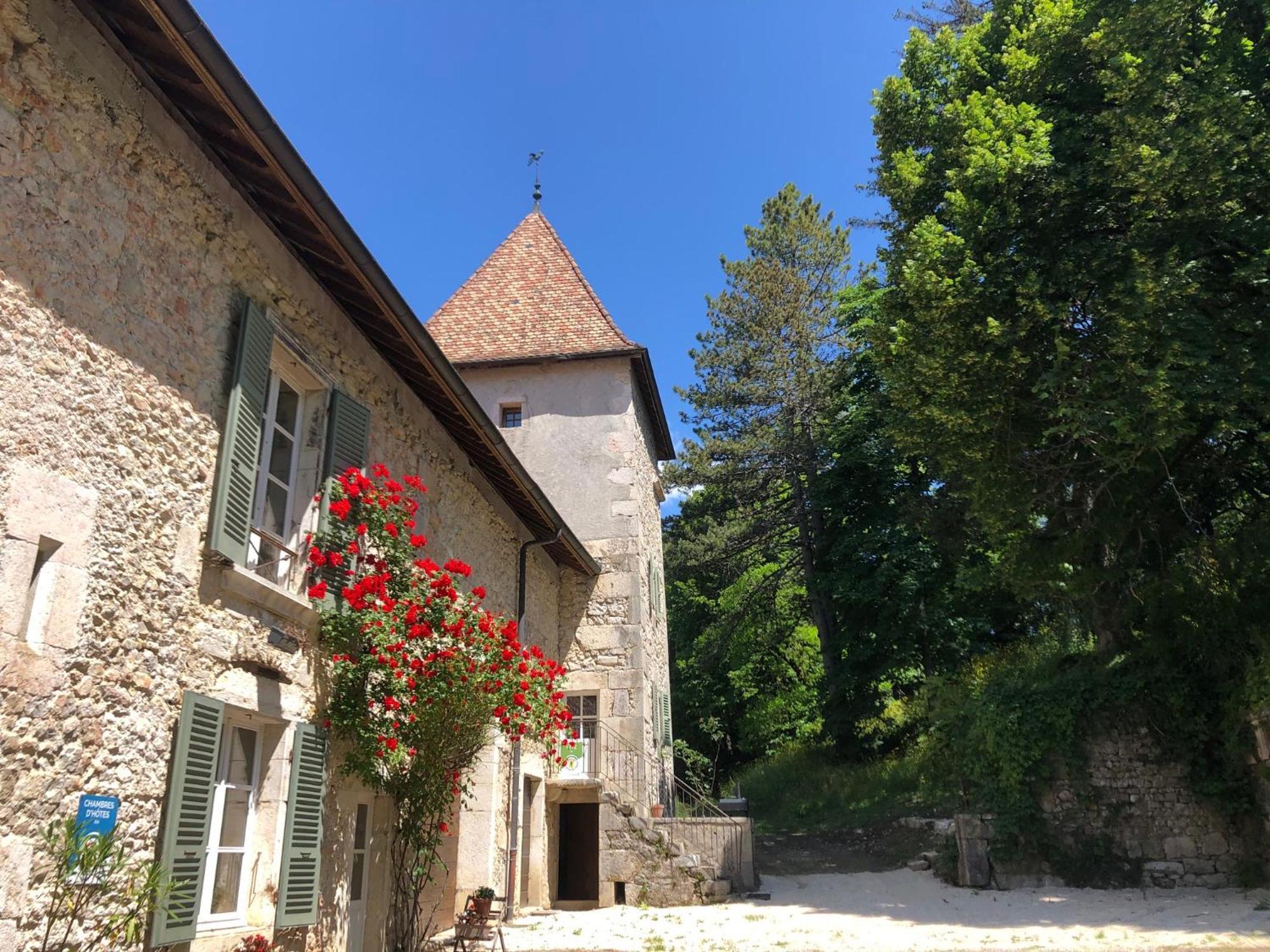 Domaine Du Tres-haut - Chateau De *